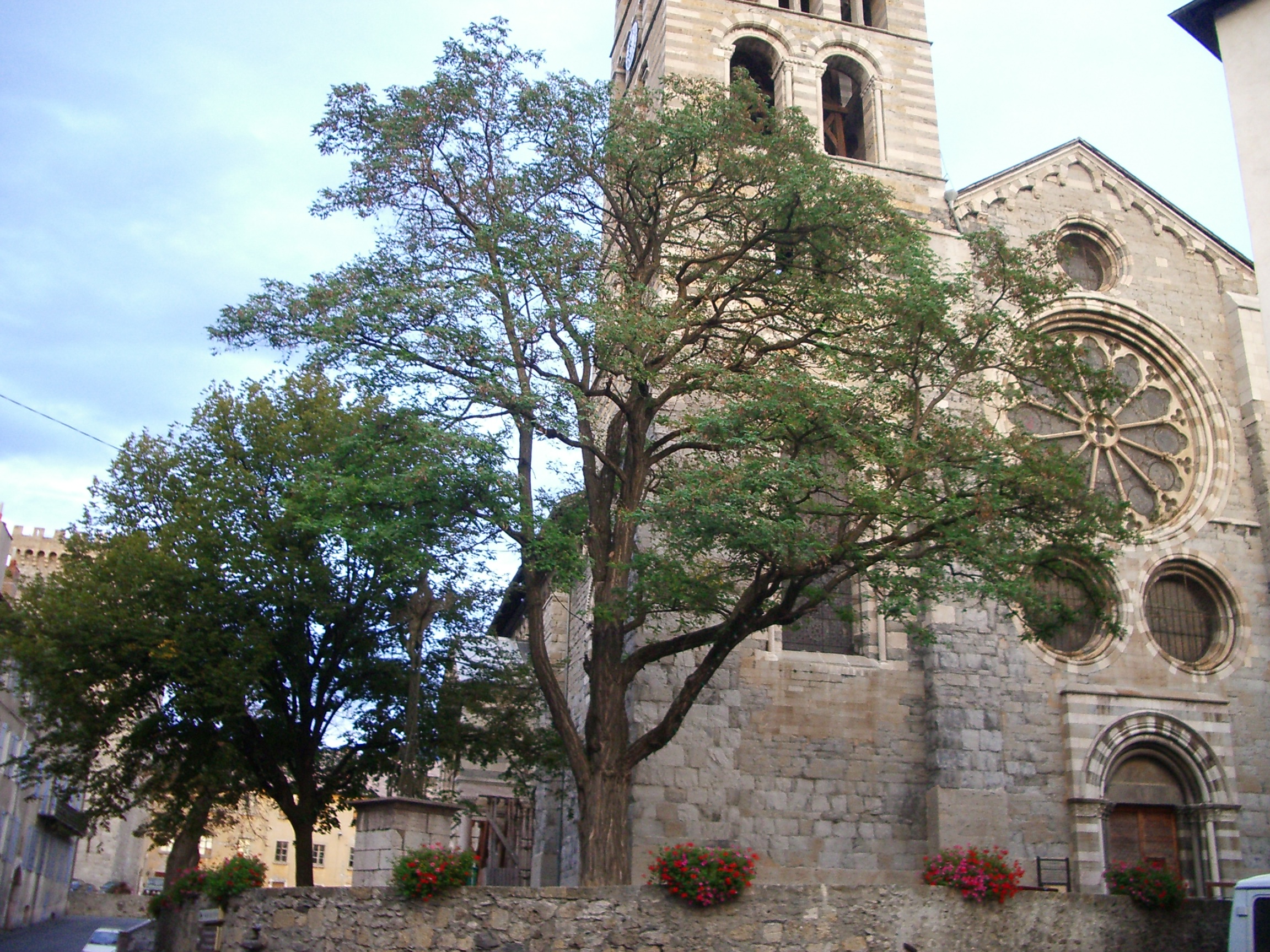 Cathédrale Notre-Dame du Réal, Embrun